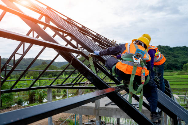 Best Metal Roofing Contractor  in Coal Grove, OH