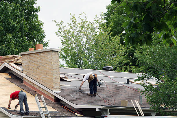 Best Gutter Installation and Roofing  in Coal Grove, OH