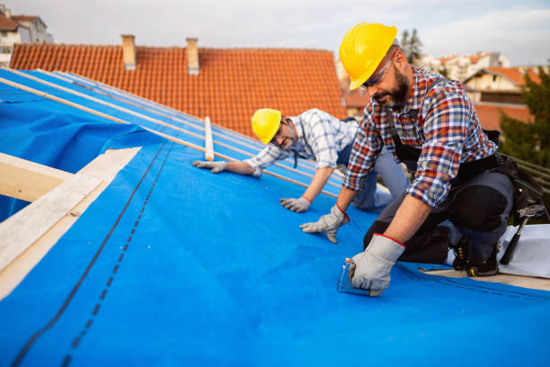 Gutter Installation and Roofing in Coal Grove, OH
