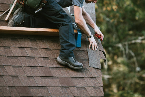 Best Storm Damage Roof Repair  in Coal Grove, OH